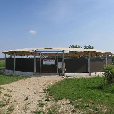 Holiday Home Domus Magna-3 By Interhome 포볼레토 외부 사진